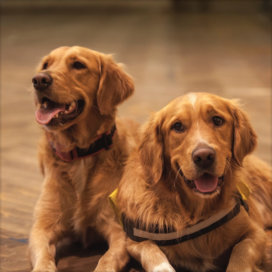 Img guide exposure@3x