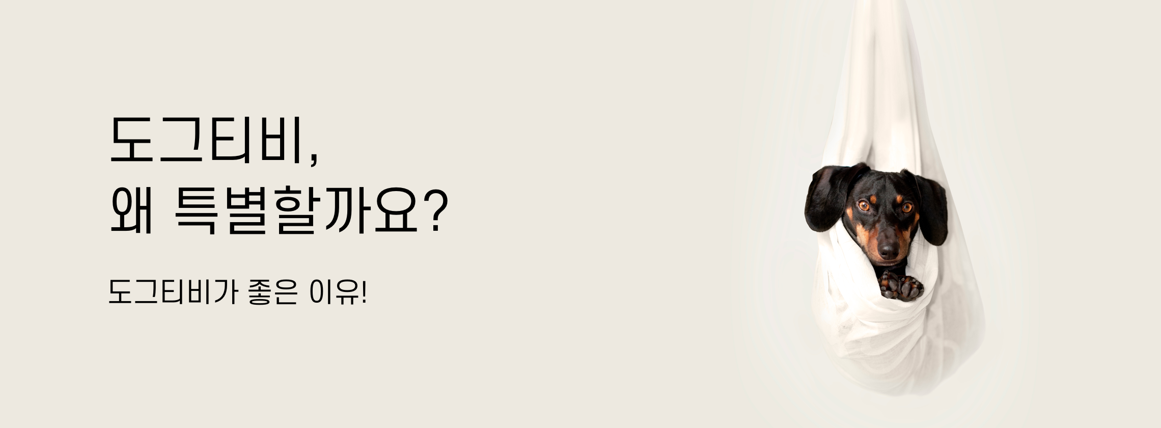 Img guide special@3x