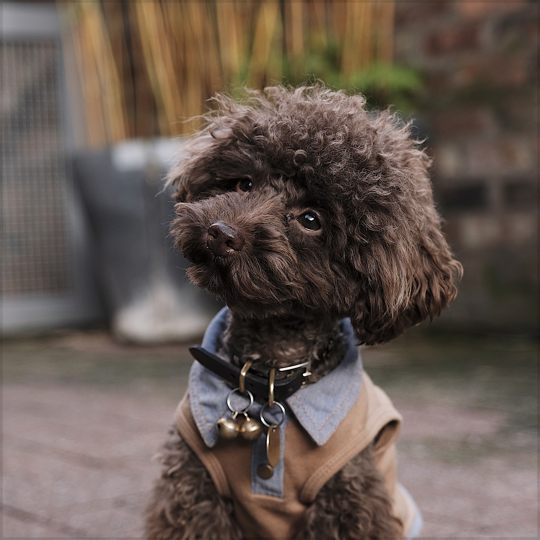 Img guide stimulation@3x